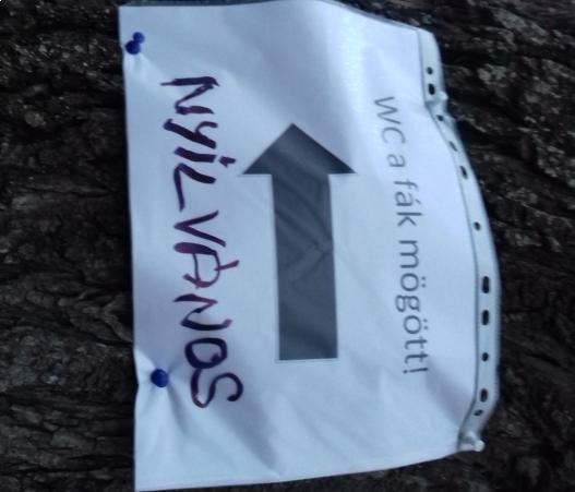 Székesfehérvár, Zichy liget, koripálya