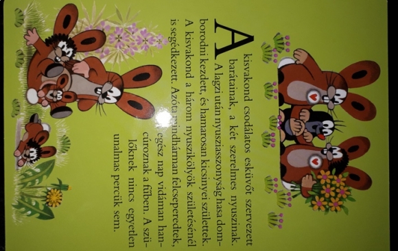 Így születik a kisnyuszi