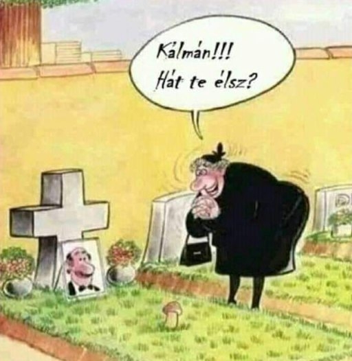 Reméljük még időben szól neki valaki,