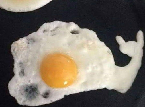 Tojásfehérjeeeeeeeeeeee