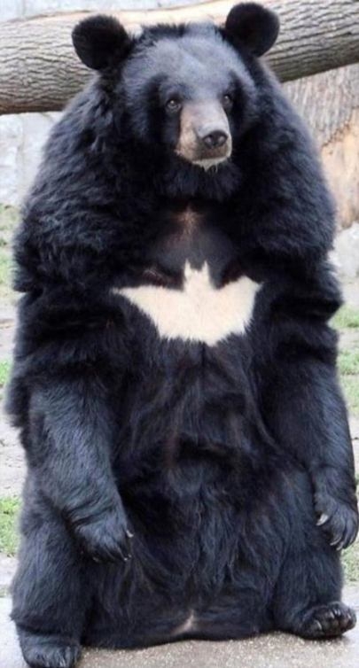 Hagyj békén, ma Batman vagyok!
