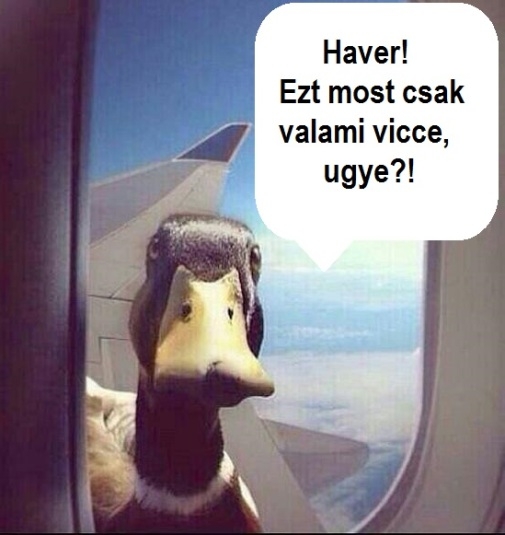 Amikor megtudod, hogy az, aki pénzzel tartozik