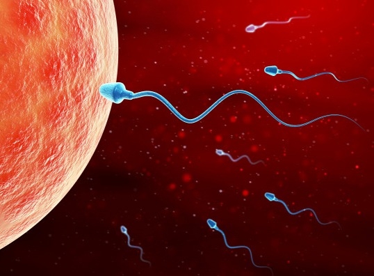 B@szki, el sem hiszem...