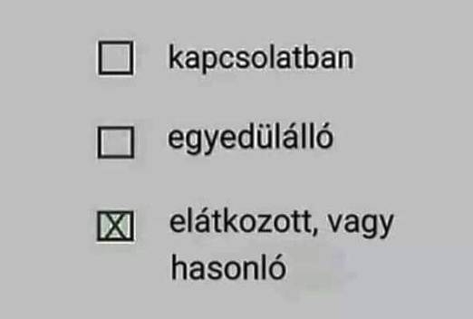 Kapcsolati állapotom