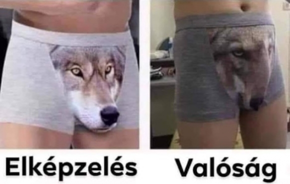 Amikor a netről rendeltél