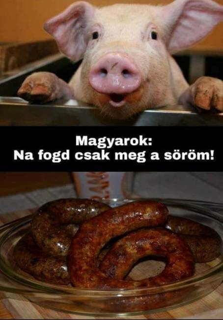 Nem lehet a disznót visszatölteni a saját belébe, és megenni...