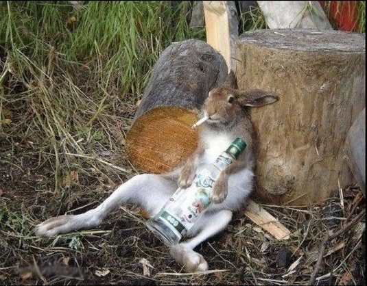 Elfogyott a kávé, úgy döntöttem jó lesz a pálesz is...