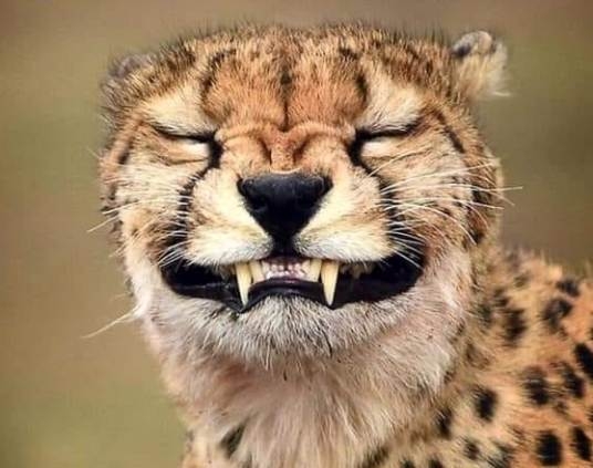 Arcod, amikor meglátsz egy kátyút, de már nem tudod kikerülni