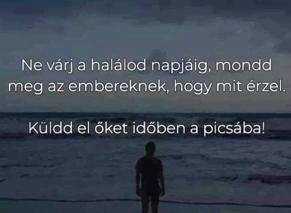 Napi tennivaló 🙂