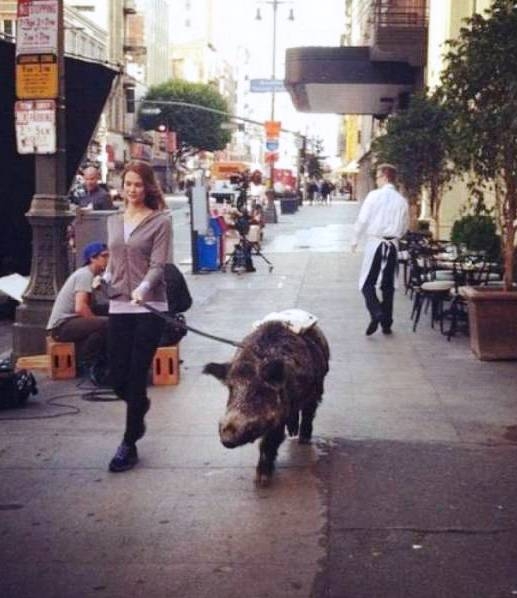 Uncsi volt a kutyus?