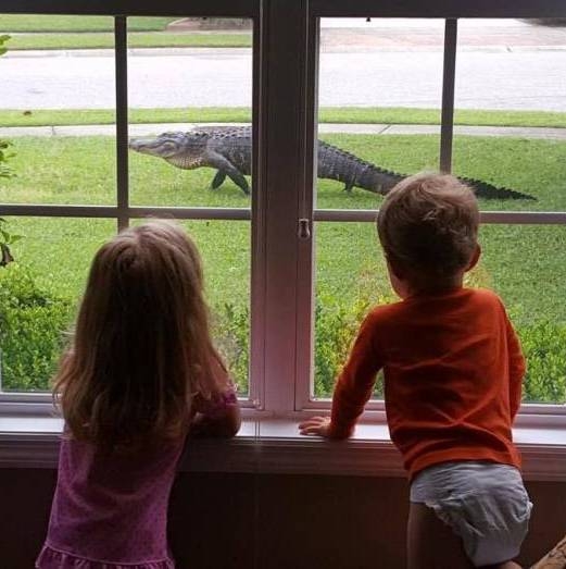 Induljon jól a reggel