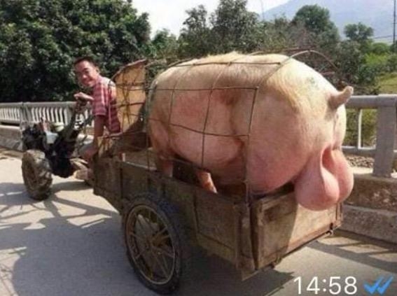 Már érkezik a a húsvéti sonka és a tojás