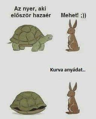 Napi definíció - beszopta :D