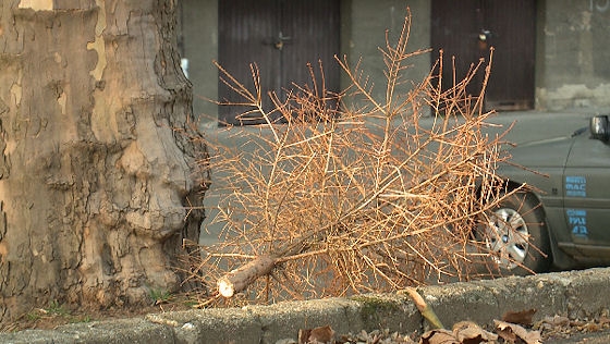 A húsvét előtti nagytakarítás első lépése