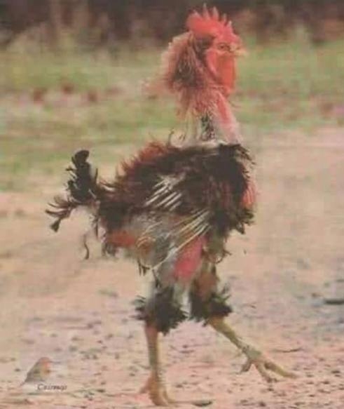 Kemény hétvége volt, de túléltem!