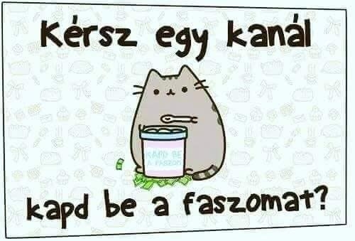 Befutott a nap ajánlata