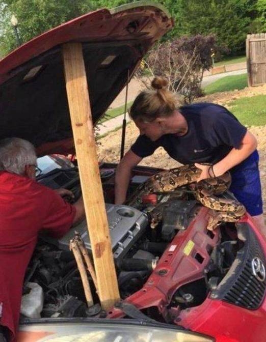 Induljon jól a reggel