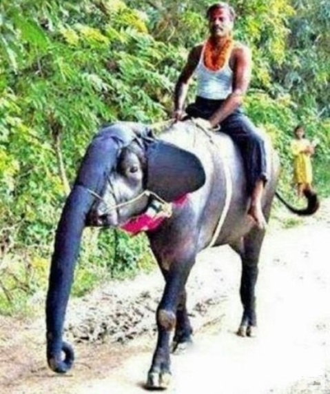 Visszanézve a nyaralási képeket,