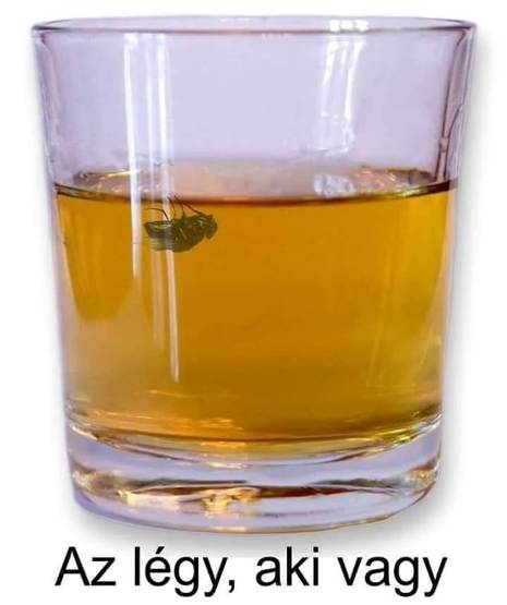 Légy dupla whiskyvel