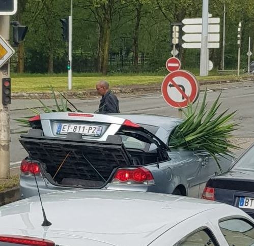 Eközben a franciáknál...