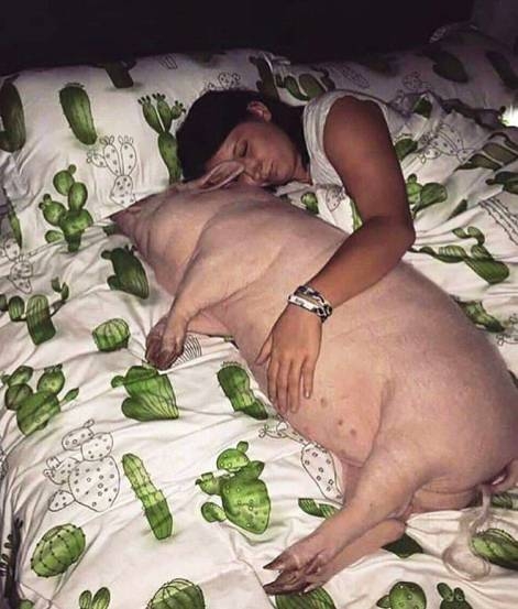 Békés, nyugodt vasárnap délutánt mindenkinek