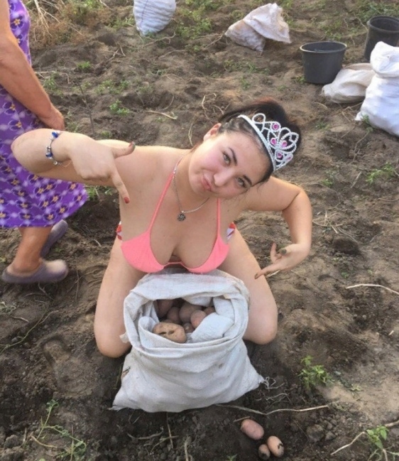 A krumpliföldön is megy a pózolás