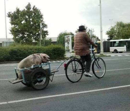 Ma a szolnoki vasútállomáson járt a Szállító