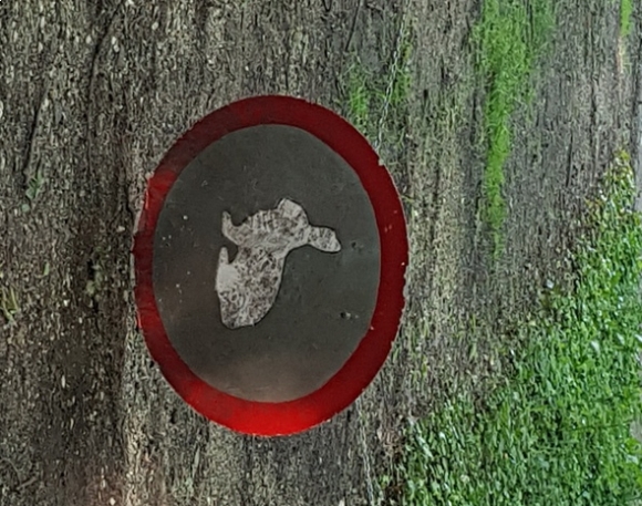 Gyereknap - Szolnok, Tiszaliget