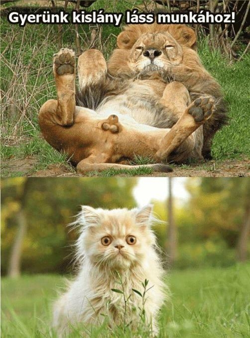 Kicsit megriadt szegény