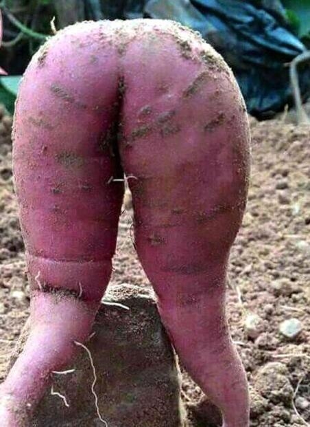 PopóSzerda - kicsit másképp