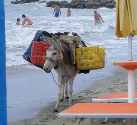 Eközben az Albán riviérán...