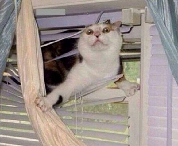 Én amikor meghallom, hogy szisszen a sör