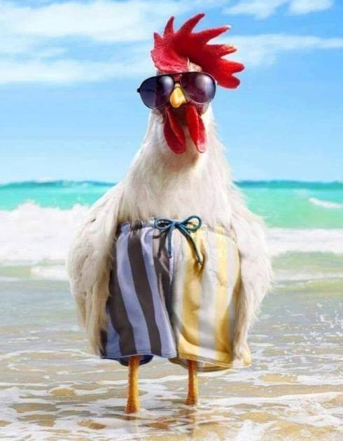 Lassan indul a strandszezon