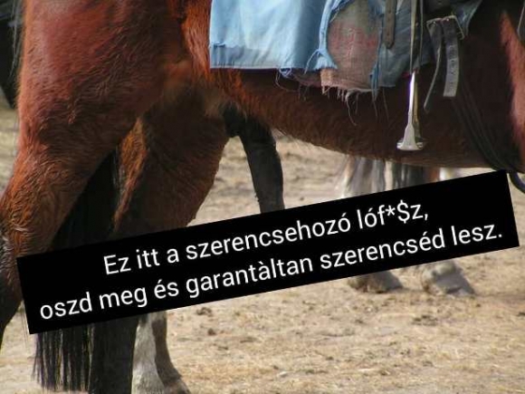 Légy adakozó, ne tartsd meg csak magadnak