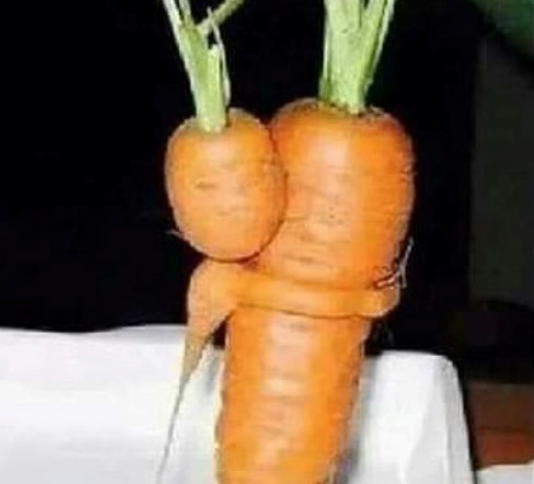 Ő itt egy gyermek répa, amint épp...