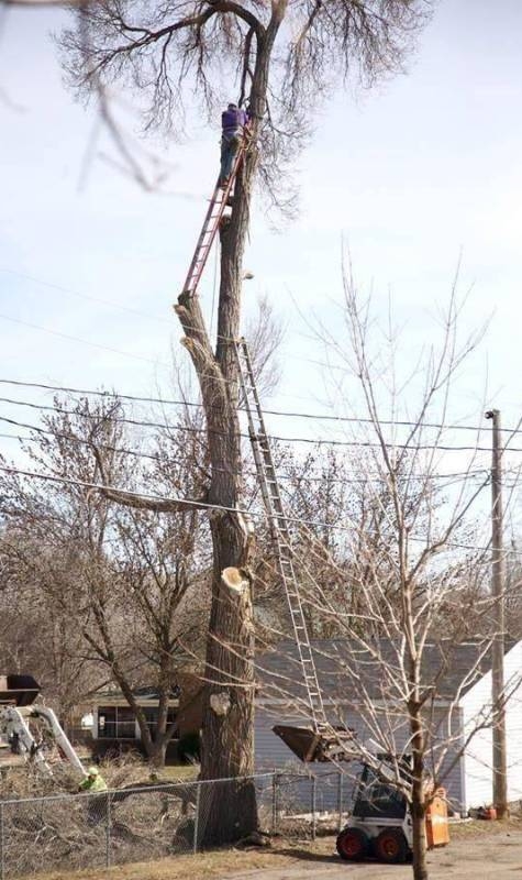 Ezért élnek tovább a nők