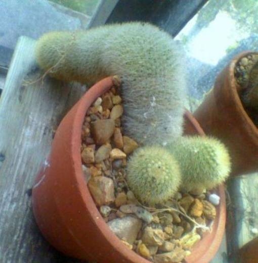 Hőségriasztás lépett életbe