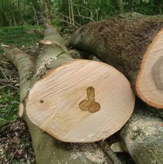 Önnek egy új üzenete érkezett