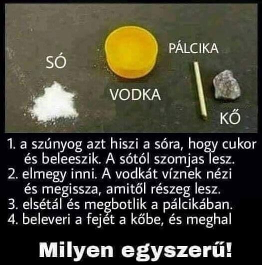 Hogyan öljünk szúnyogot könnyen