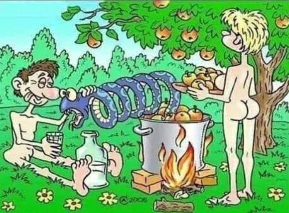 A nap, amikor Ádám feltalálta a pálinkafőzést