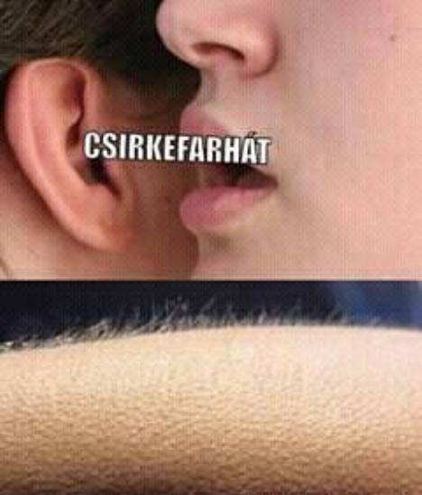 Most állítólag pont akciós