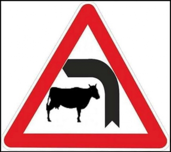 Marhanagy bal kanyar