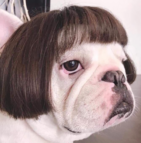 Amikor az unokahúgod fodrásznak tanul, és rajtad gyakorol...