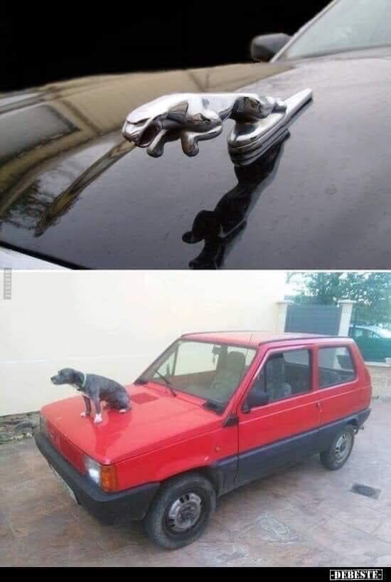 A szomszédnak Jaguárja van