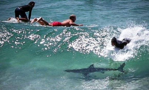 Az éppen szabdságon lévőknek jó nyaralást kívánunk