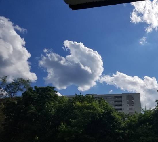 Napiszar időjárás jelentés