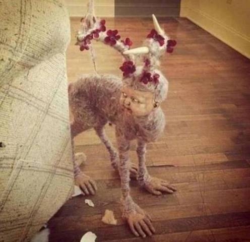 Szobadísz olcsón eladó.