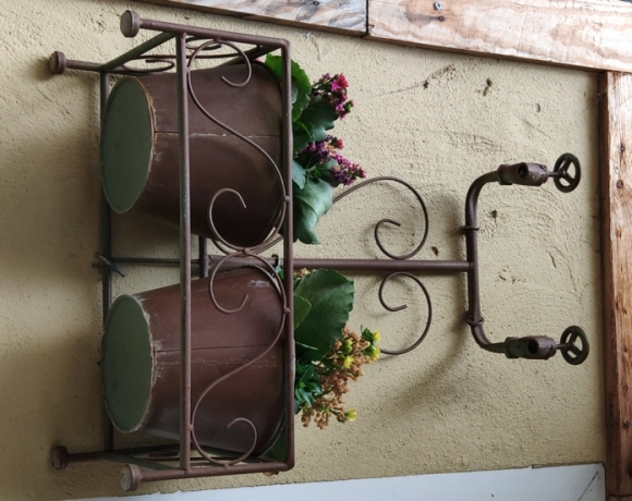 Aki a virágot szereti...