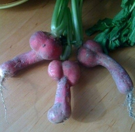 Kedvezett az időjárás