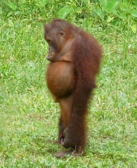 Amikor nem az van, amit te akarsz